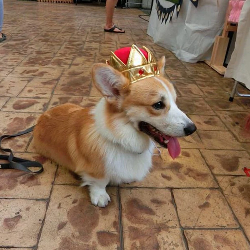 

Dog Cat Headwear Little King Queen Cap Funny Cute Pet Puppy Cat Crown Hat Costume Hat for Little Cosplay Party Decor Pet Product