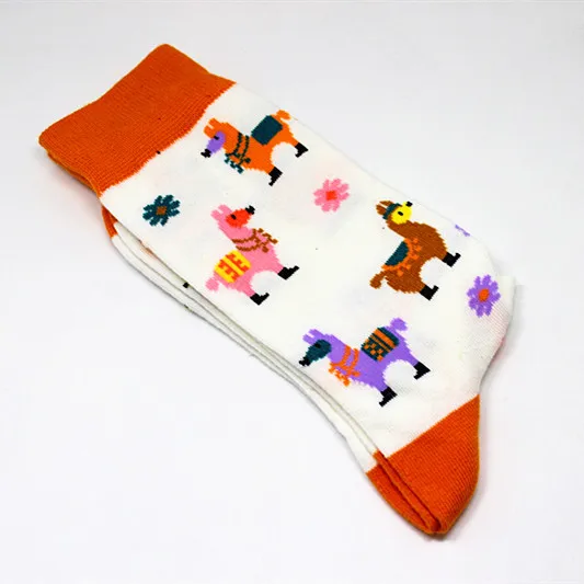 10736381804_140823263