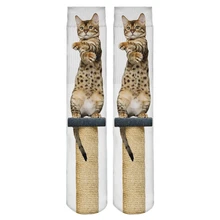 New High Quality Women Socks Funny 3D Full Print Sitting Cat Socks Style Fashion Casual Fitness Harajuku Hosiery