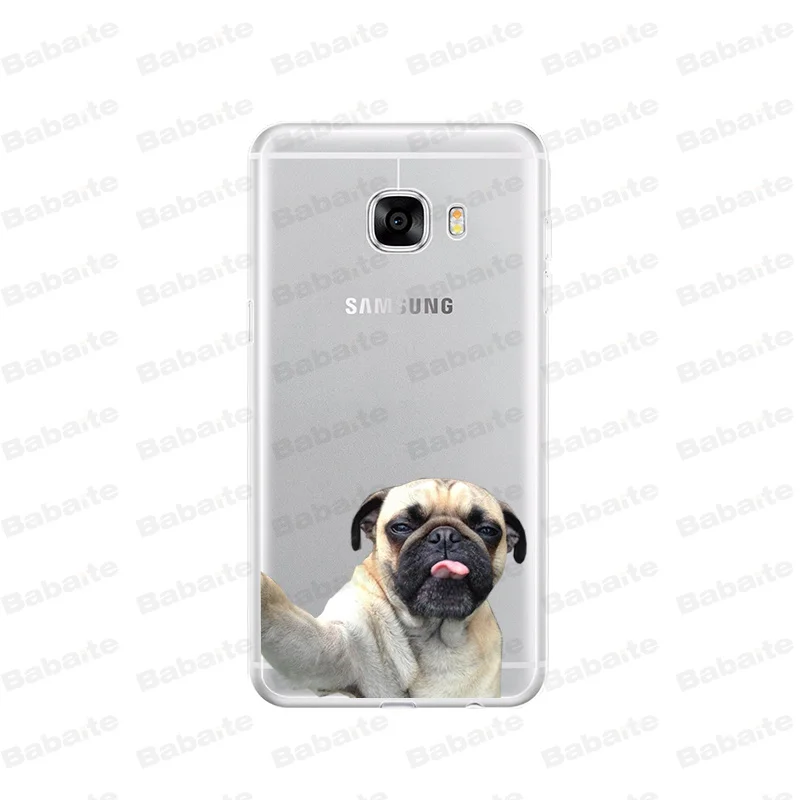 Cute  French Bulldog cartoon dog and cat