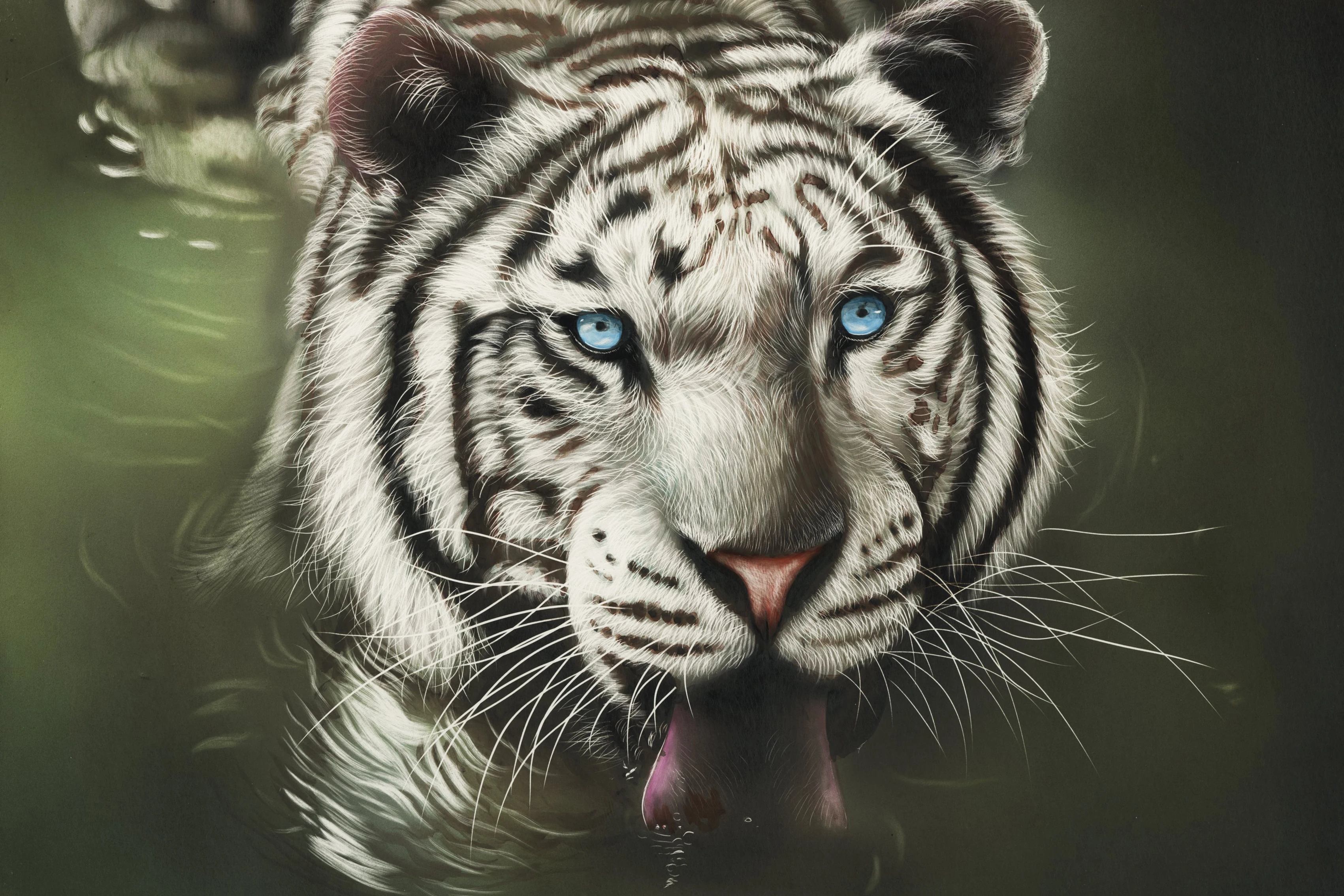 

Home decoration water white tiger by shonechacko Silk Fabric Poster Print LY31