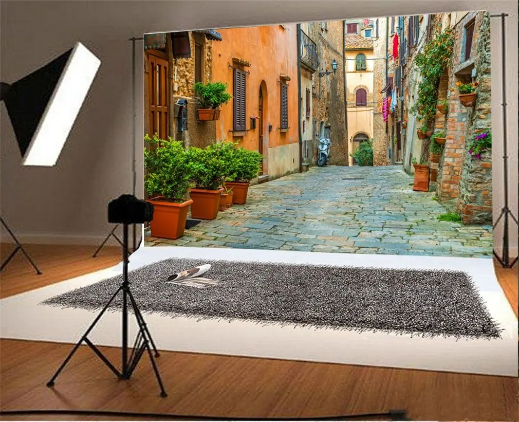 

Photography Backdrop European Building Street Green Vine Scene Photo Background