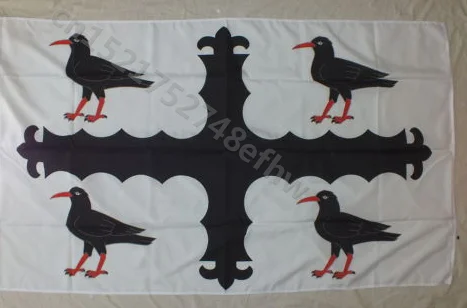 Flintshire Flag 90*150cm60*90cm Size Polyster arty Indoor and Outdoor A decorative Banner flag | Дом и сад