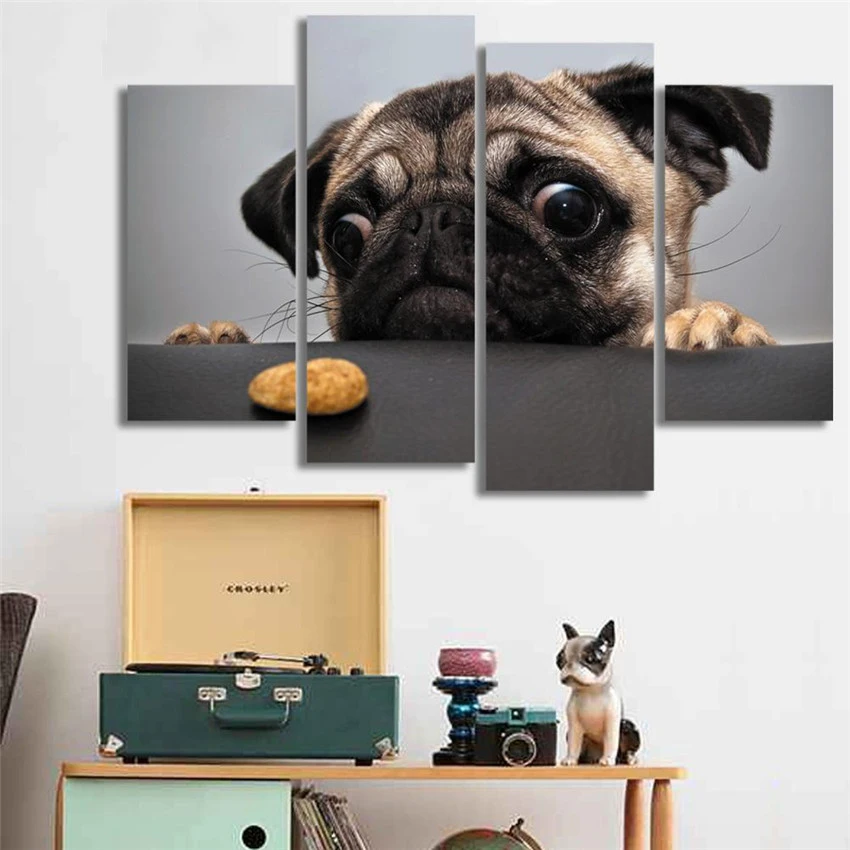 Pug Dog-3