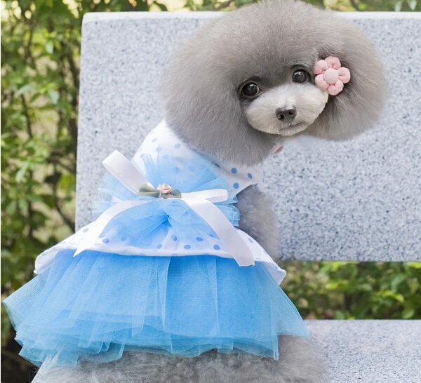 New arrival doggy fashion spring summer lace tutu dress doggy lovely