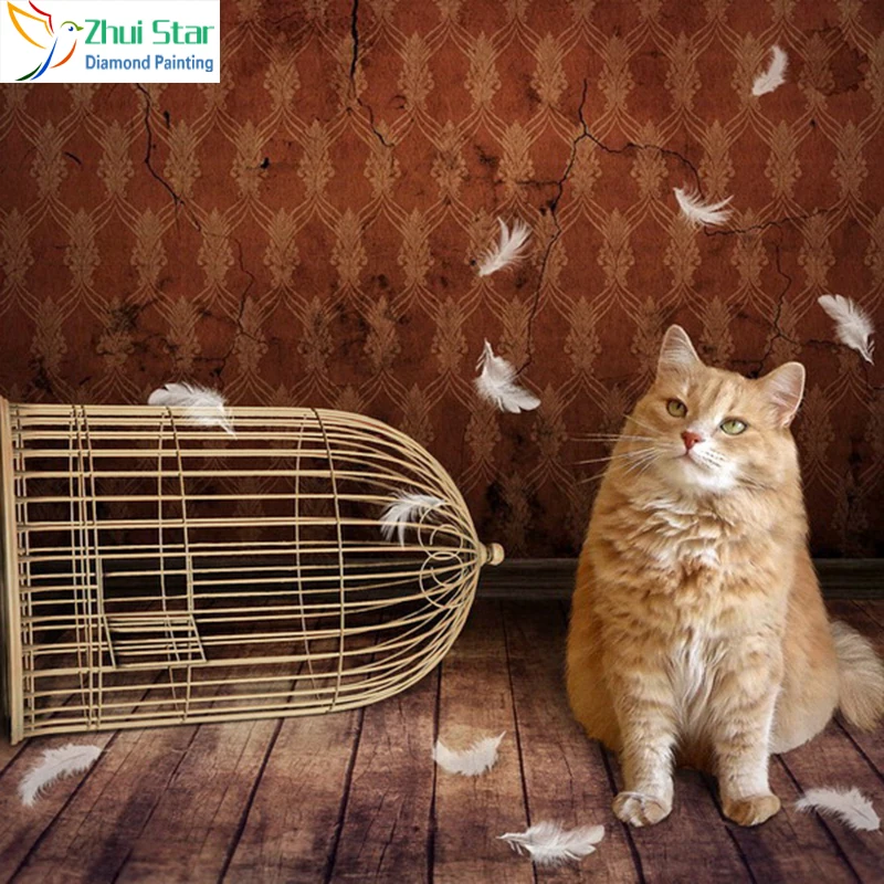 кот долго сидит. коты и интернет. кошка облизывается. кот юмор. кот долго сидит.