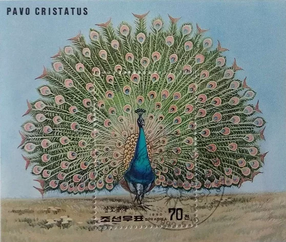 

Peafowls 1990 Miniature Sheet DPRK Korea Post Stamps Postage Collection