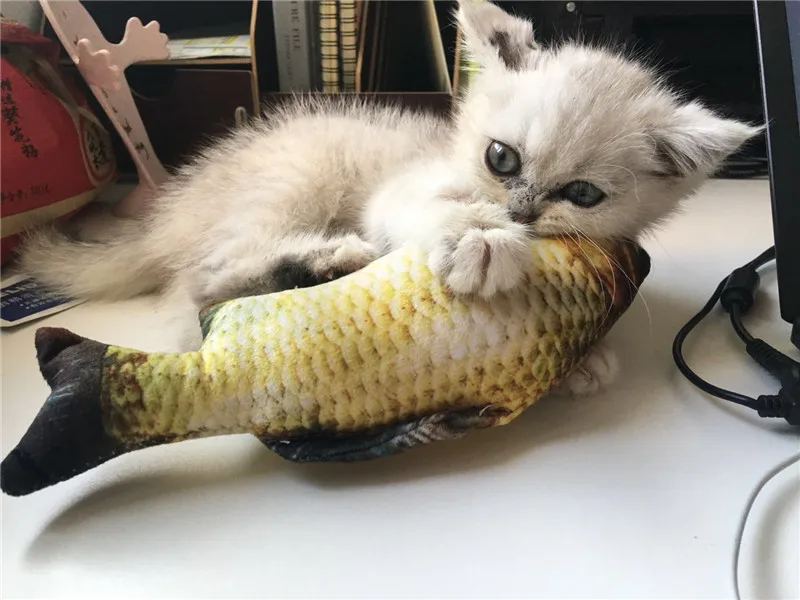 fish plush toy (2)_