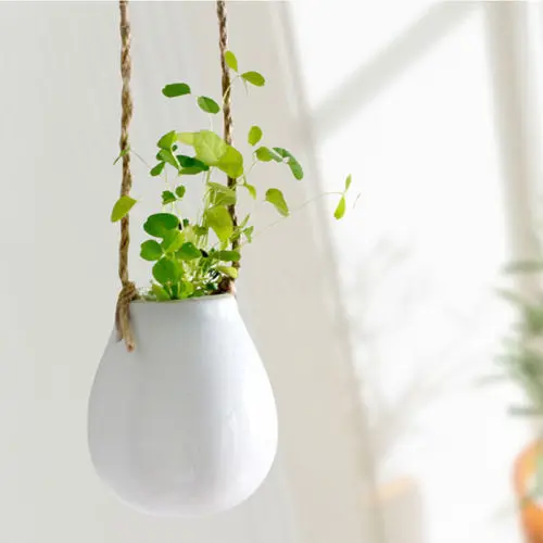 Home Garden Ceramic Hanging Planter Flower Pot Pots Green Plant Vase Twine Small Infusion Bag Bottle Send Hemp Rope Home Garden Ceramic Hanging Planter Flower Pot Pots Green Plant Vase Twine Small Infusion Bag Bottle Send Hemp Rope