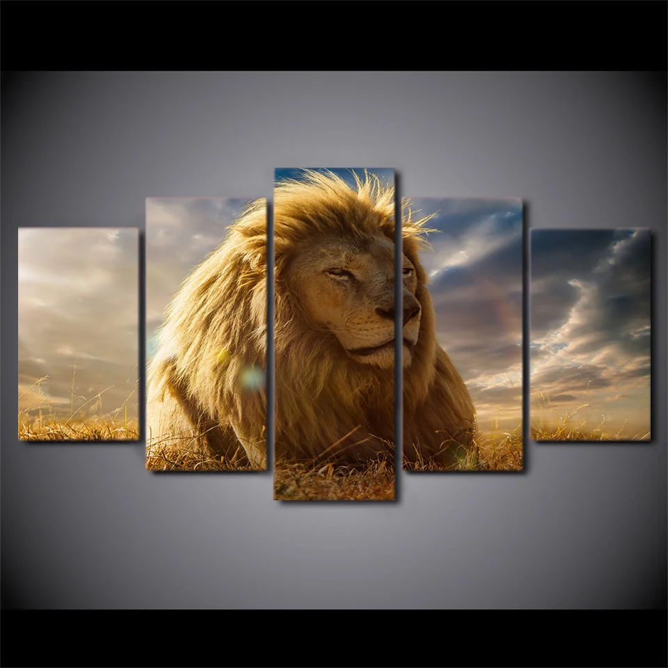 Animal lion king