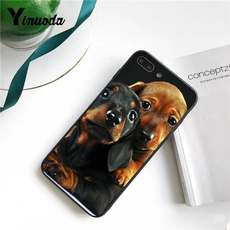 Yinuoda для iPhone 7 чехол черная такса собака добермана лицо Замечательный чехол для телефона для iPhone X 8 7 6 6S Plus X 5S SE XR XS XSMAX - Цвет: 3