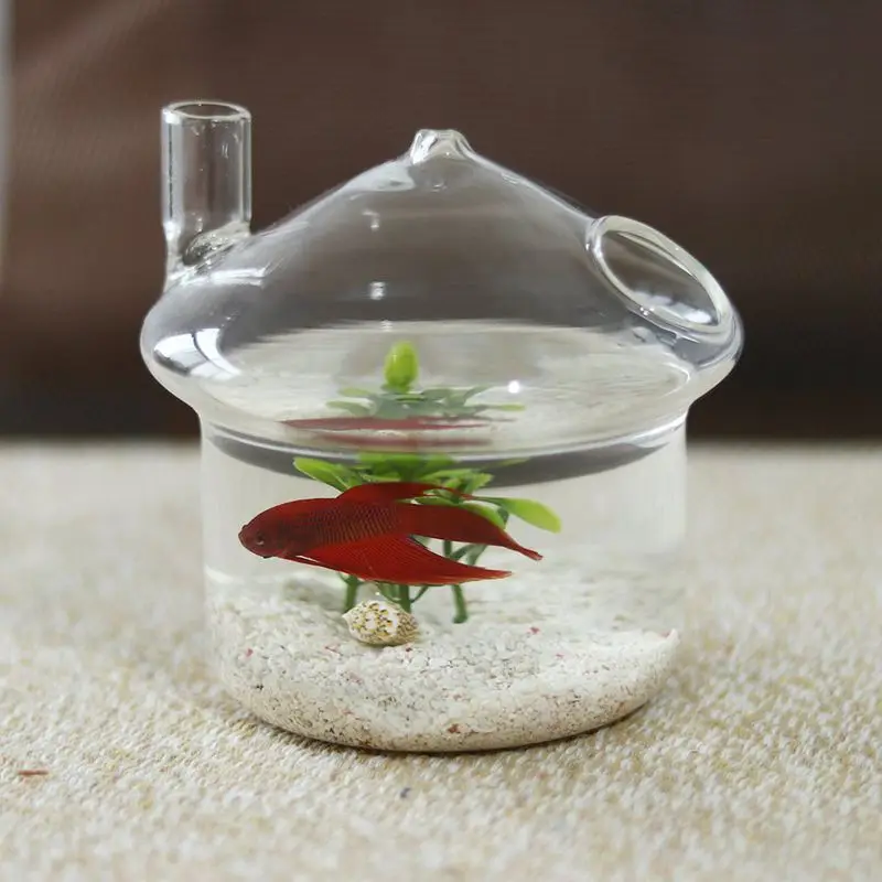 Mushroom-shaped Hanging Glass Planter Vase Rumble Fish Tank Terrarium Container Home Garden Decor 2