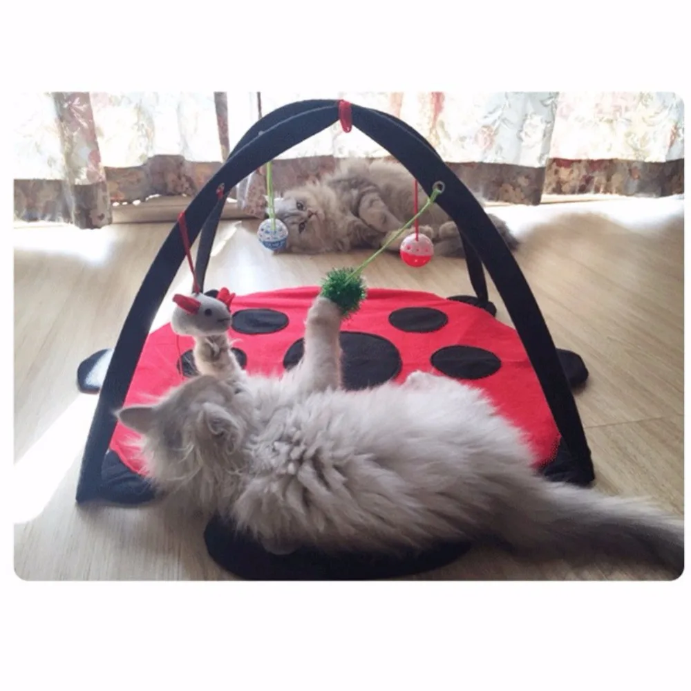 2018 Cat Toys Pet Cat Play Tent Bed Funny Colorful Toys Kitten Pad Cushion Exercise Gift folding tent bed toy bed for pets 2018 Cat Toys Pet Cat Play Tent Bed Funny Colorful Toys Kitten Pad Cushion Exercise Gift folding tent bed toy bed for pets