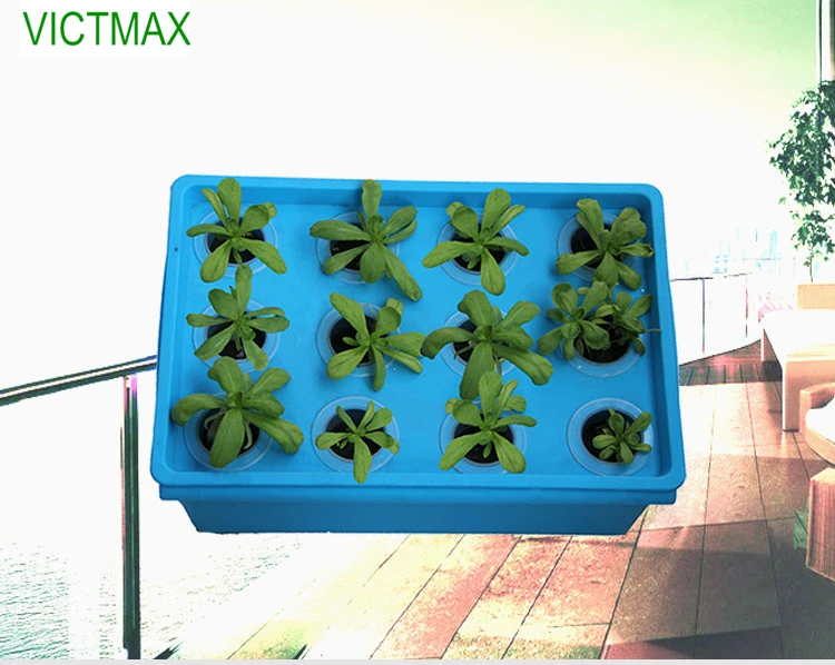 VICTMAX 1 Set 12 Holes Plant Site Hydroponic System Garden Nursery Pots Garden Grow Kit Box