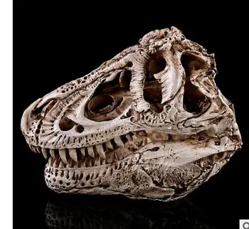 

Single ridge dragon bone resin dinosaur skull animal research teaching creativity home furnishing personality culpture statue