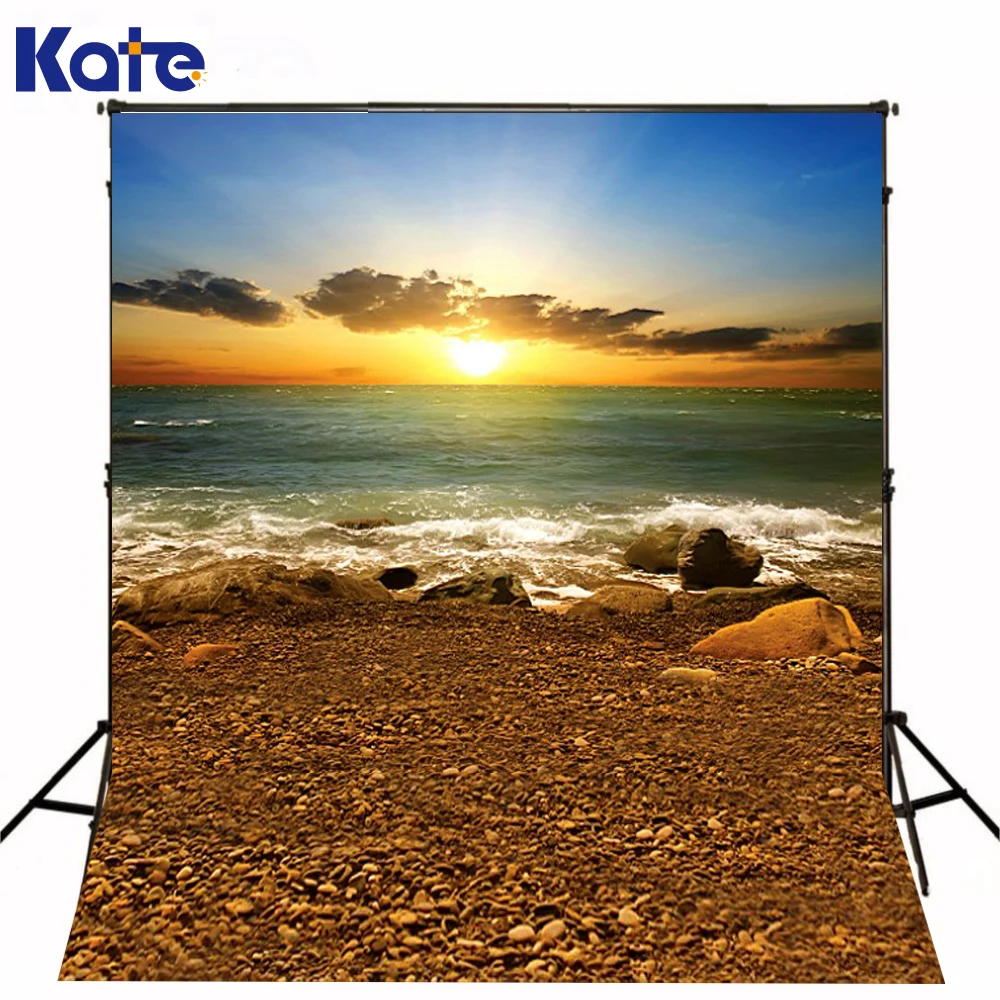 

300Cm*200Cm(About 10Ft*6.5Ft) Fundo Sunshine Stone Beach3D Baby Photography Backdrop Background Lk 2044