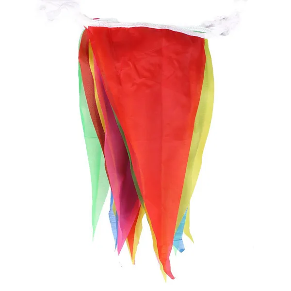 Rainbow Bunting-EJG03 (1)