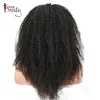 Lace Wigs
