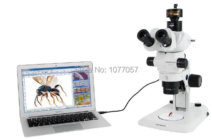 Compare Prices on Professional Microscopes- Online