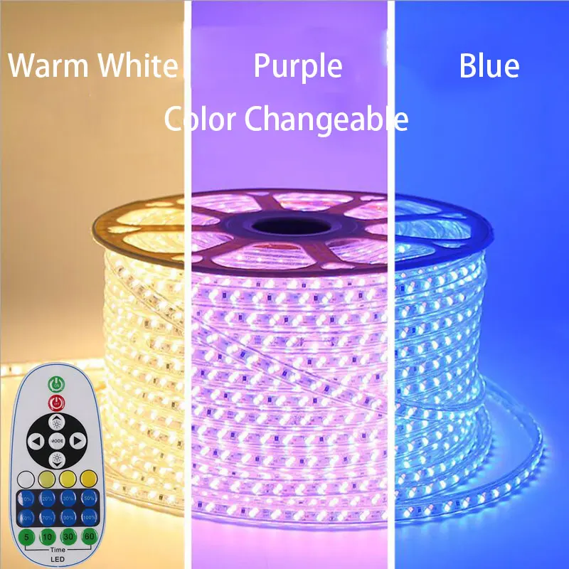 buy 1 10M 5730 LED Strip Light WW+Blue 220V IP67 Waterproof LED Tape Dual Color Changeable Dimmable LED Strip for Home Decor