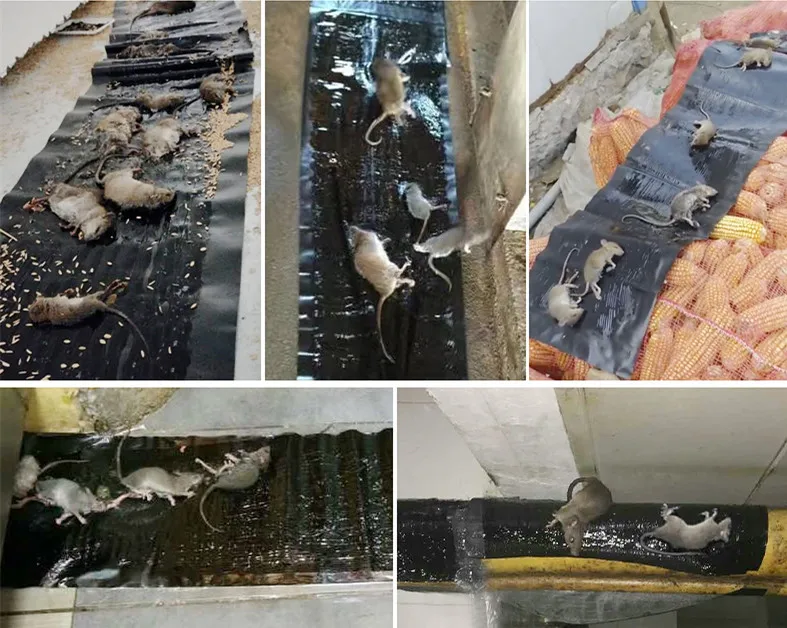 

Catch Mouse Rodent Glue Rat glue Traps Board Super Sticky Rat Snake Bugs Board Household Mice Control Products 1.2m