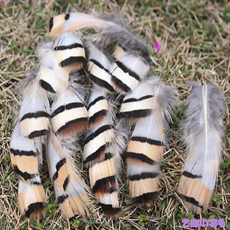 

New! 10pcs beautiful natural chukar feathers 5-8 cm / 2-3 inch