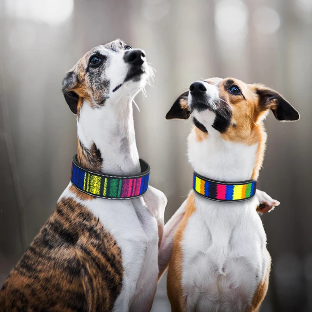 Nylon Dog Collar Reflective Pet Dogs Collars Breathable Padded Striped Pitbull German Shepherd Medium Large Dogs Collar S M L 5