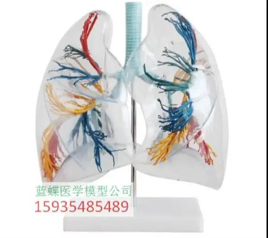 HTB196F.kBjTBKNjSZFDq6zVgVXaE