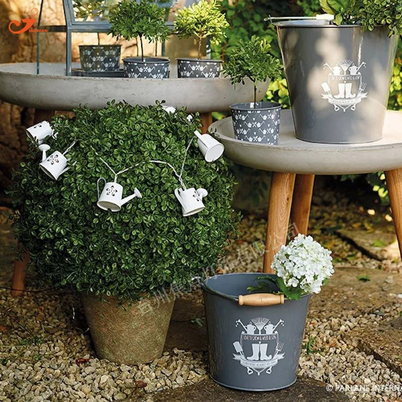 Hot Sale Stainless Steel Watering Can 10 LED String Lights Battery