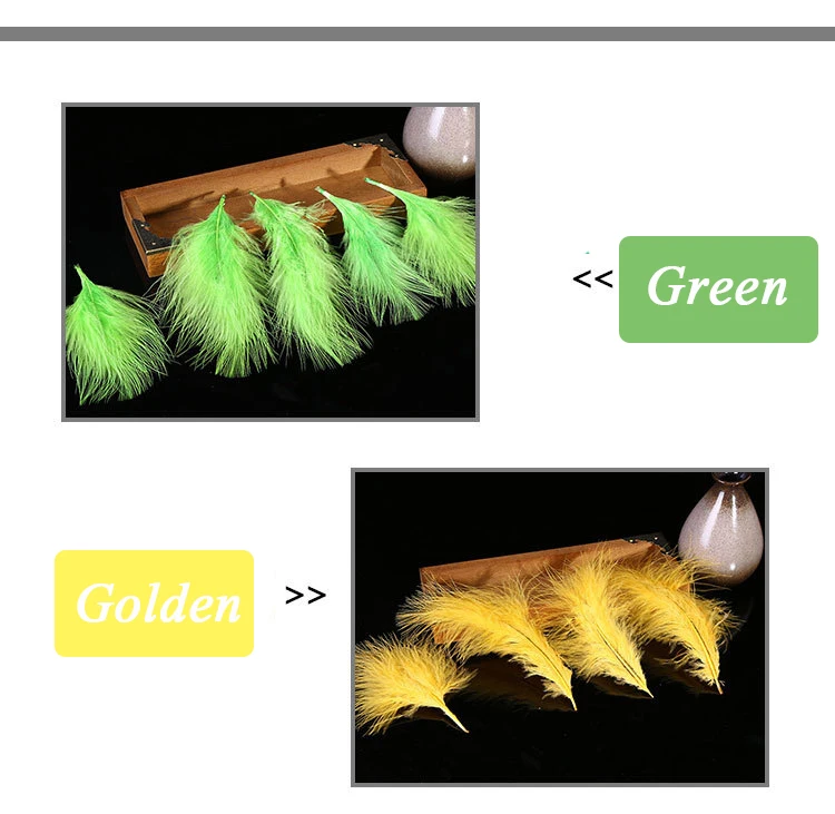 3195470074_1022353483