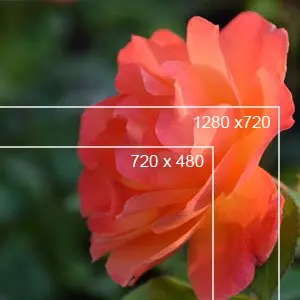 n40ofebRGJ._UX300_TTW__