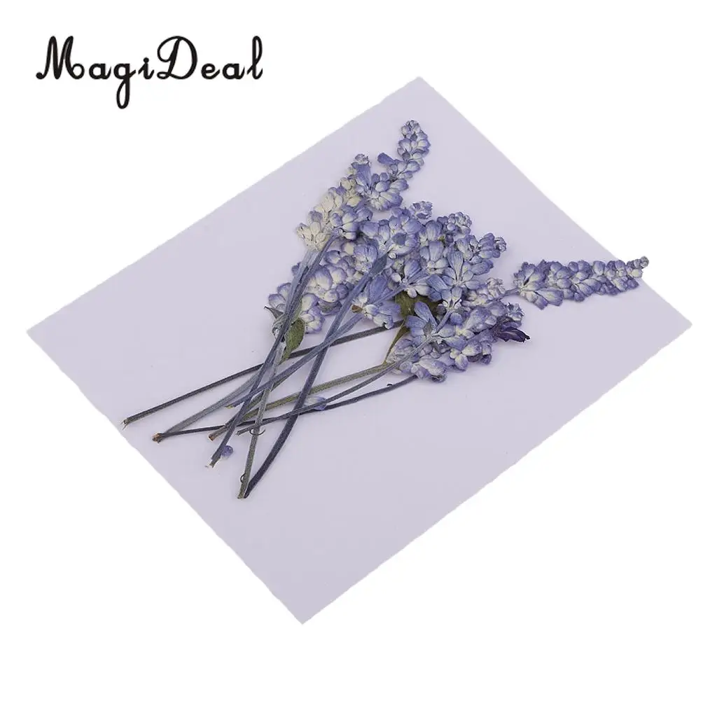 22pc Assorted Dried Pressed Flowers Real Violet & Sage Plant Herbarium For Scrapbooking Card Making DIY Jewelry Phone Case Craft