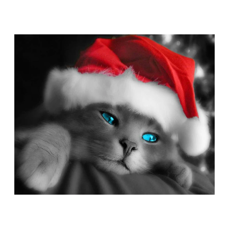 Diy Diamond Painting Animal Diamond Cross Stitch Crystal Square Diamond Embroidery Sets Home Decoration Christmas Hat Cat 