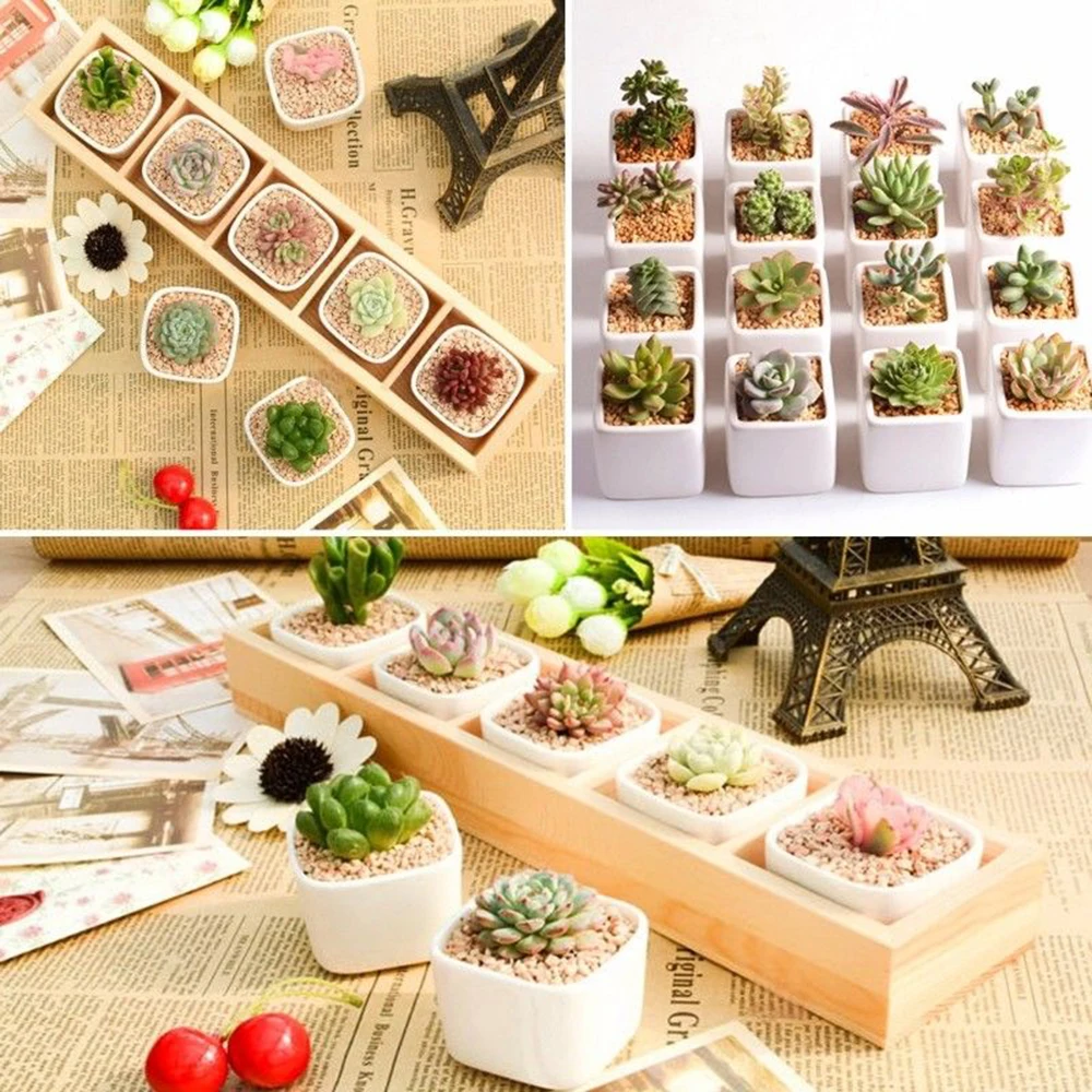 

1pc Succulent Plant Fleshy Flower Decorative Square shape Pot Box Container Plastic 5.5x4.2cm Square Plant Pot Garden Planter