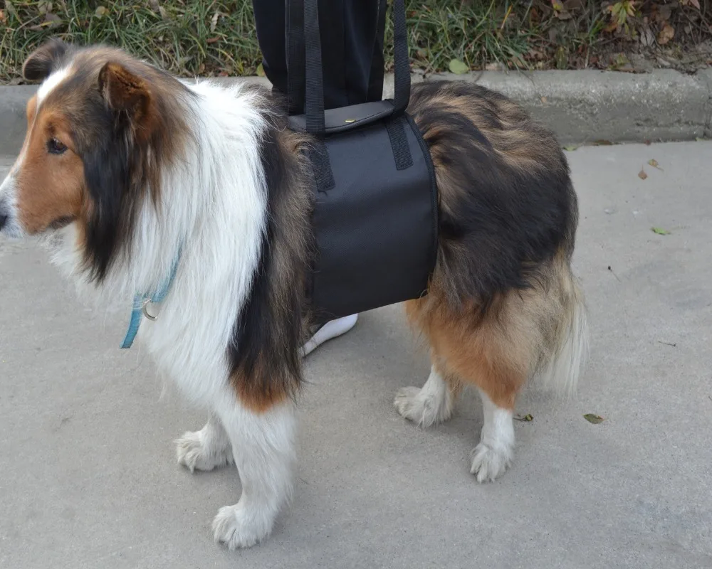 

Wholesale Adjustable Breathable Safty Pet Training Harness Vest Leash Lead Dog Chest Strap Rope