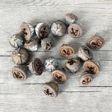 Натуральное сушеное цветочное украшение для фруктов для вазы, чаша для наполнителя, витрина для свадебной вечеринки, Рождества, украшение для домашнего стола, 10 шт