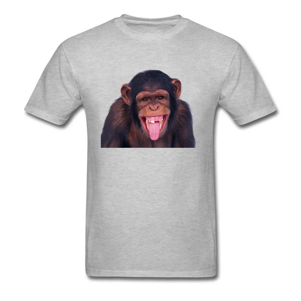 PNGPIX-COM-Monkey-PNG-Transparent-Image_grey