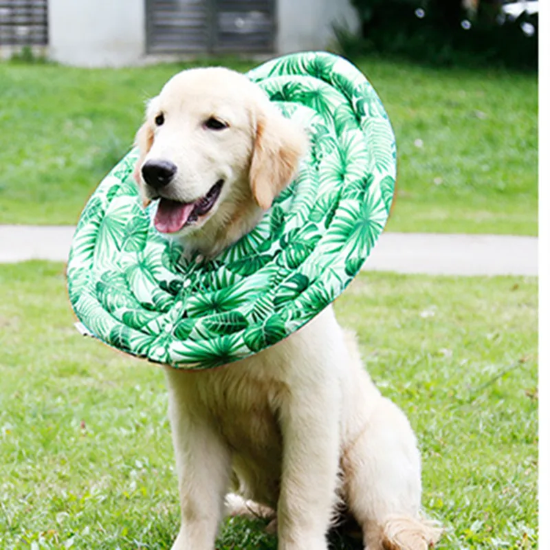 

Pet Protective Collar for Dogs Cats Adjustable Ultralight Recovery Anti-Bite Prevent Pets Touching Biting Wound Stitches 23July1