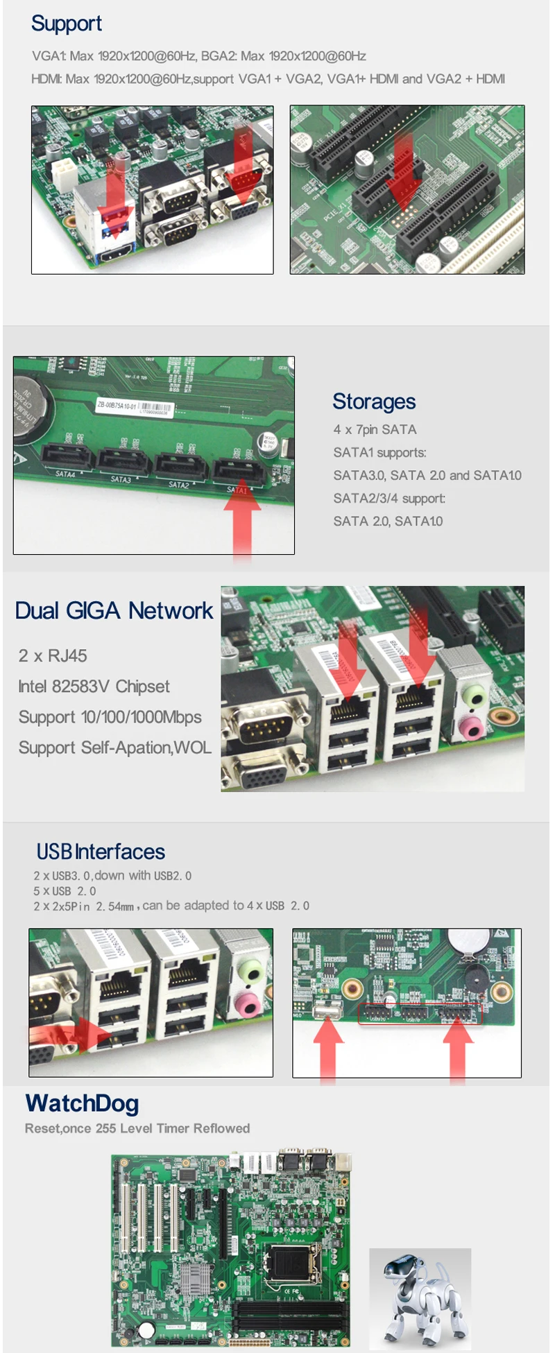 B75 Details-3