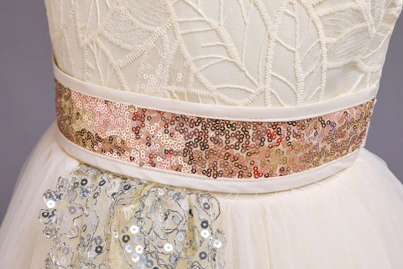 11563793319_1498729419