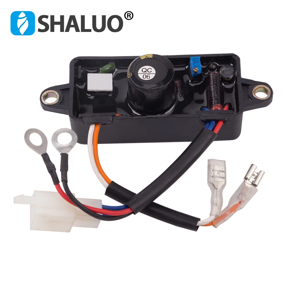 3KW gas AVR (5)