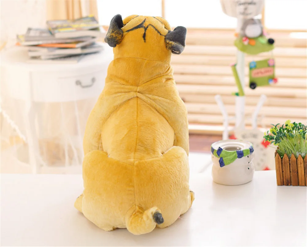 dog12