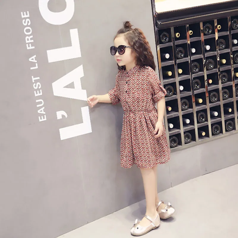 

2-7Y, 2017 New Summer Girls Dress Kids Long Sleeve Dress Children Chiffon Floral Dress Baby Pleats Dress