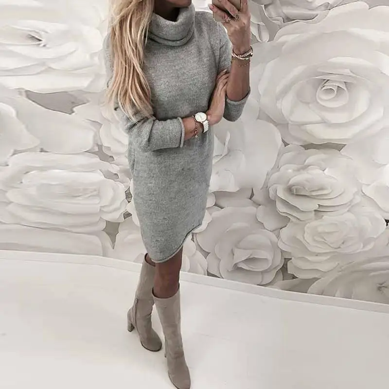 2018-Autumn-Winter-Women-Knitted-Sweater-Dresses-Turtleneck-Bodycon-Slim-Jumper-Vestido-Long-Causal-Pullover-WS5260C (2)