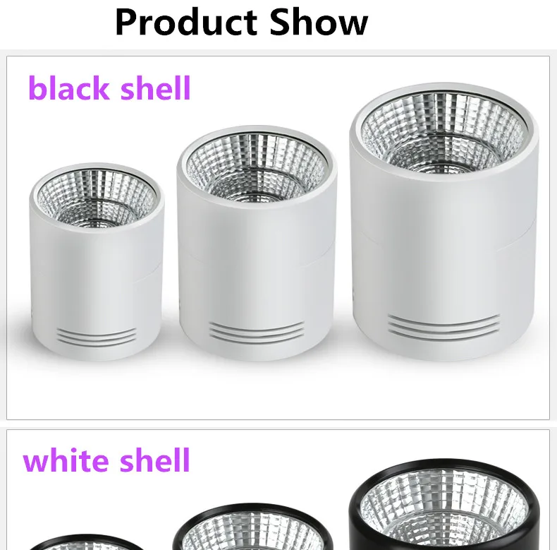 c (5)