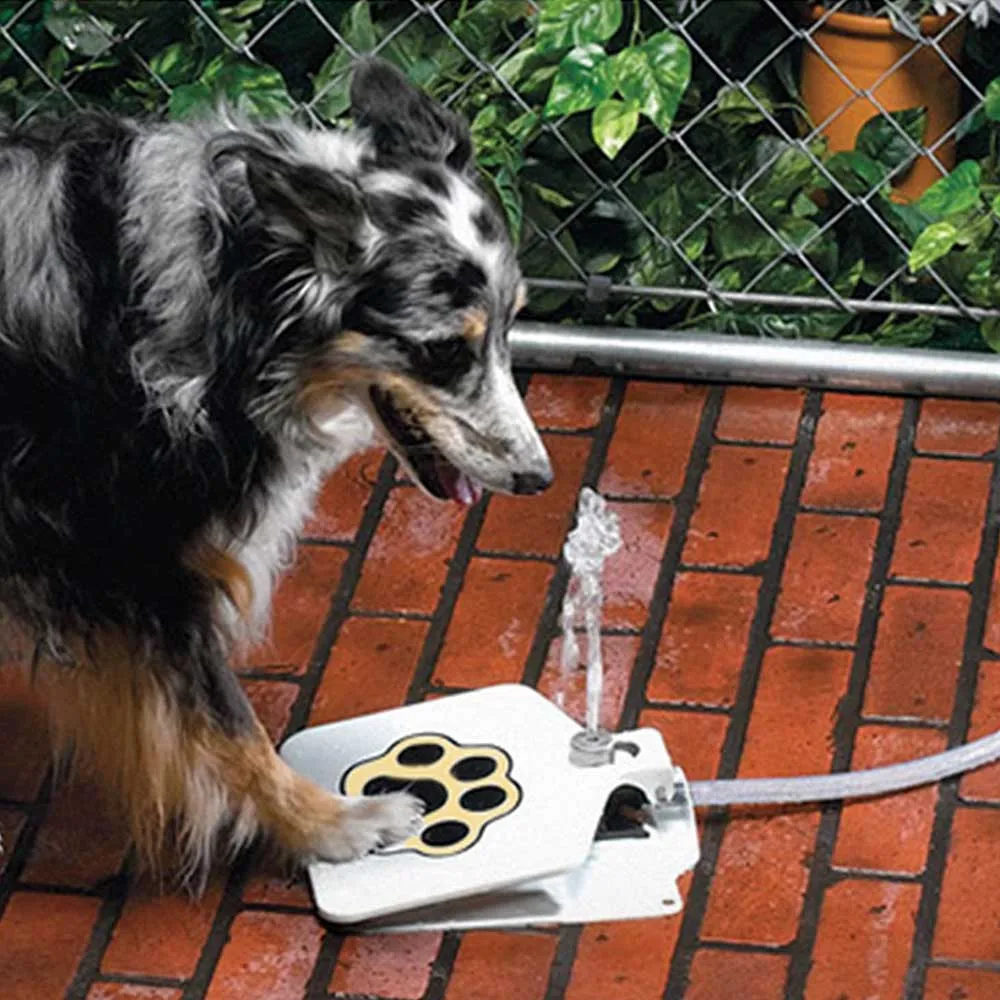 Pet Fountain Automatic Dog Water Feeder Outdoor Pet Drinking Water