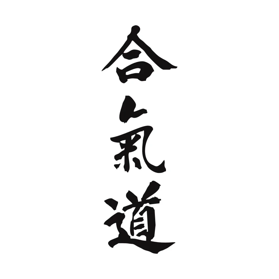 Anycuros AIKIDO Kanji Love Creative Car Body Decal Chinese Characters Car Styling Car Stickers 515 (7)