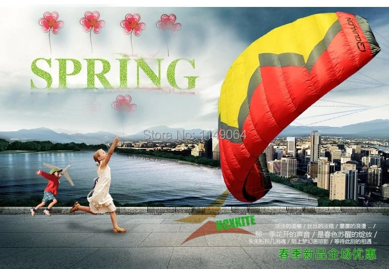 free shipping high quality 5 square meter wasp5 quad line stunt kite surf outdoor fun sports parafoil kiteboard parapente kevlar ручка daily fun разные дизайны quad ruled green