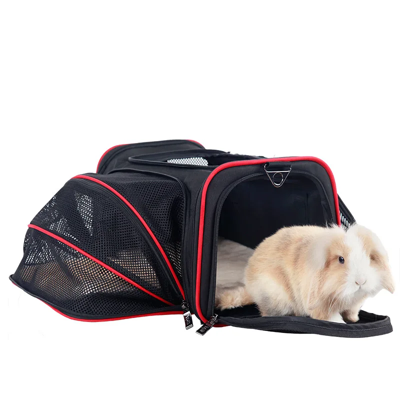 4117665411_800974948