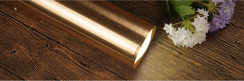 Nordic Art Gold Dining Room Wall Lamp Creative Loft Retro LED Wall Light Bar Hotel Bedroom Corridor Light Free Shipping (9)